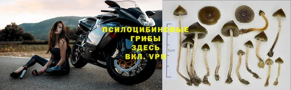 шишки Алексин