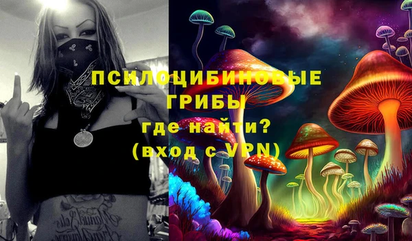 шишки Алексин