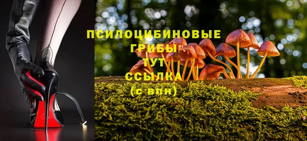 сатива Алексеевка