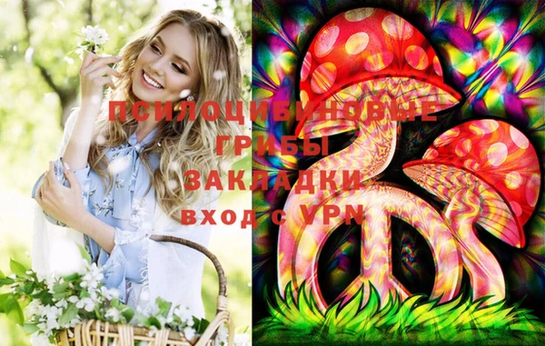 сатива Алексеевка