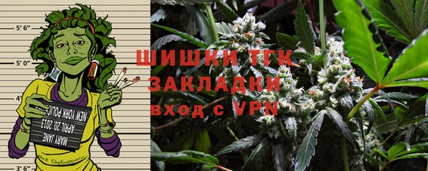 шишки Алексин