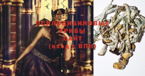 сатива Алексеевка